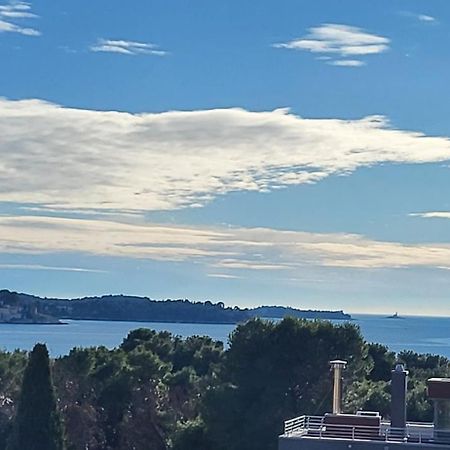 Villa Salvia Rooms And Apartments Rovinj Eksteriør billede