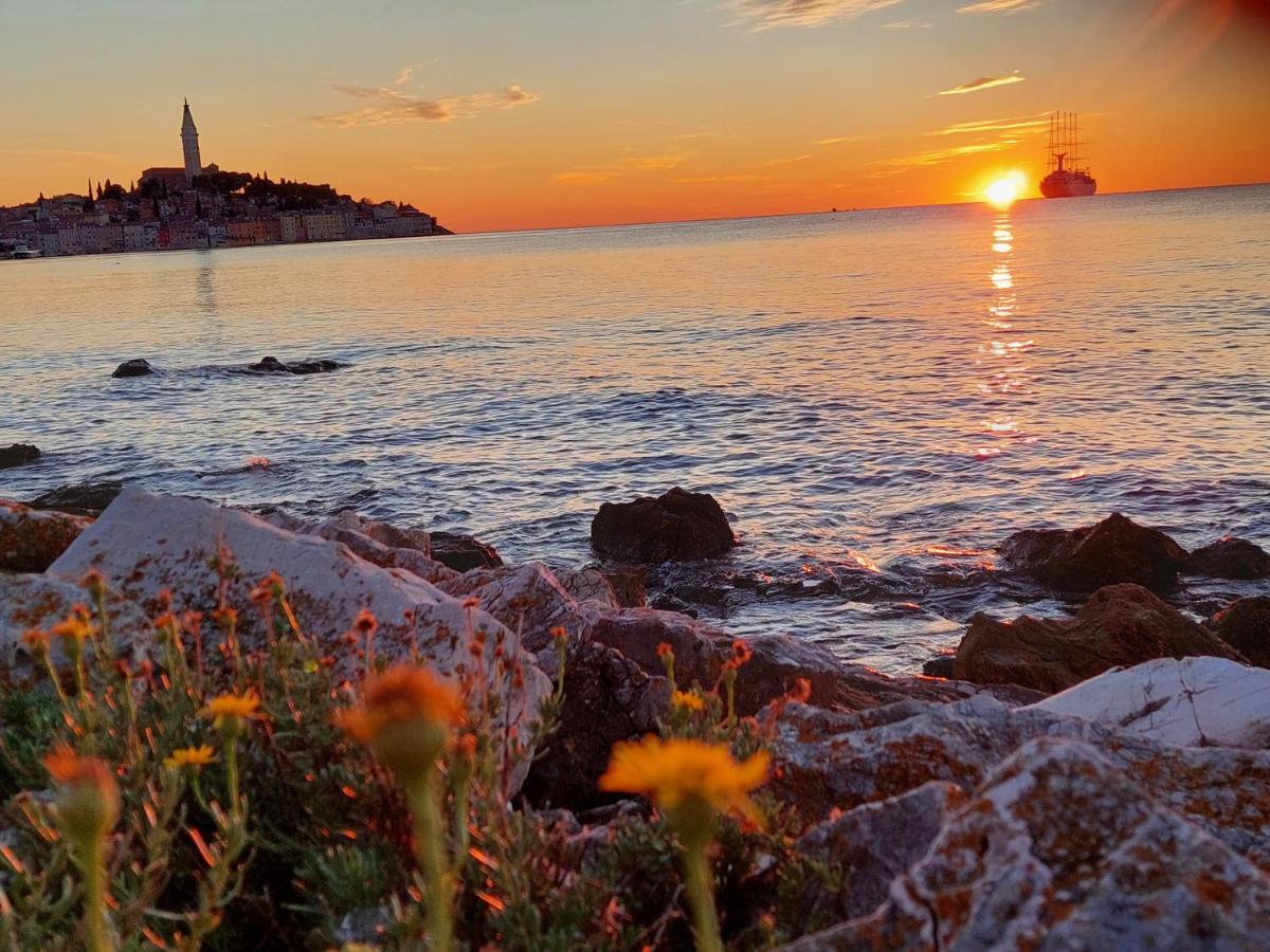 Villa Salvia Rooms And Apartments Rovinj Eksteriør billede