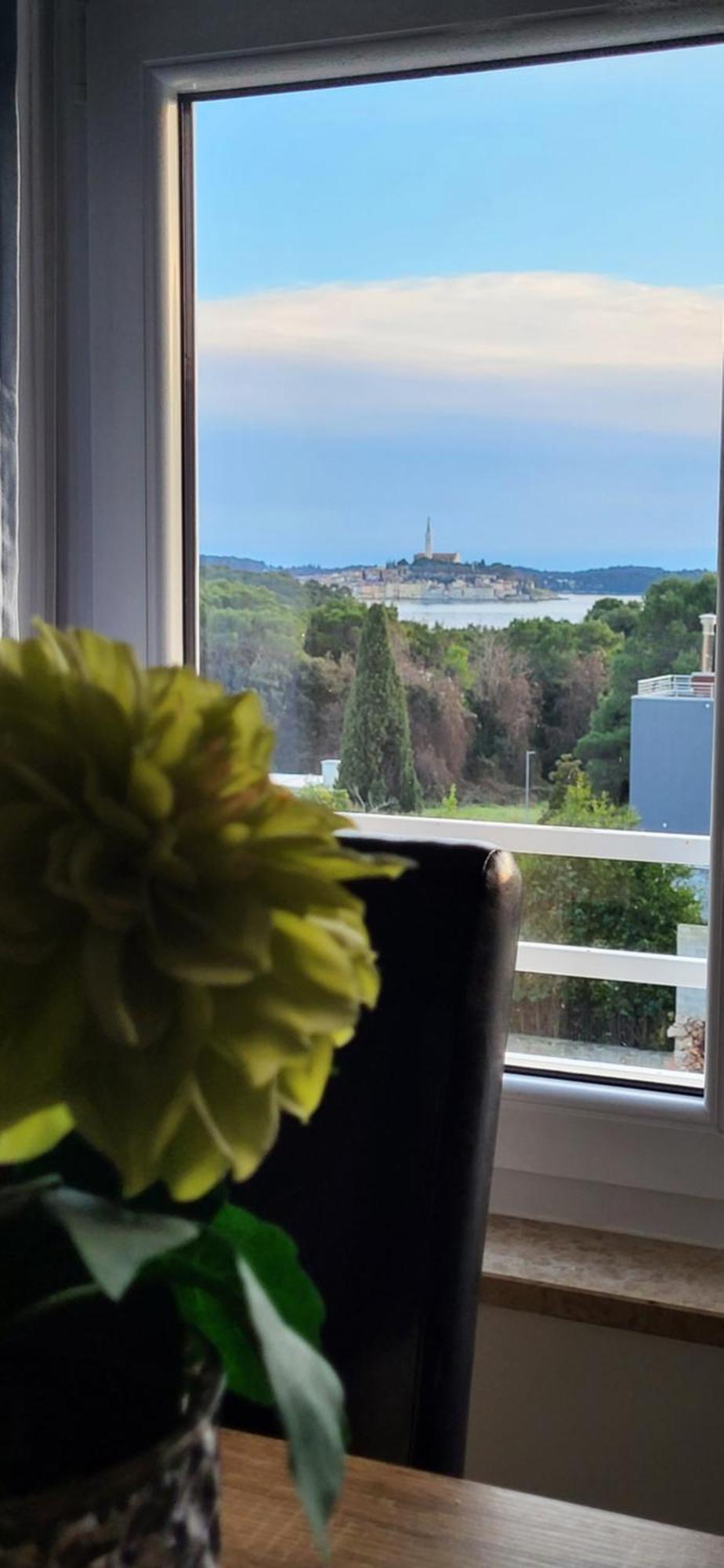 Villa Salvia Rooms And Apartments Rovinj Eksteriør billede