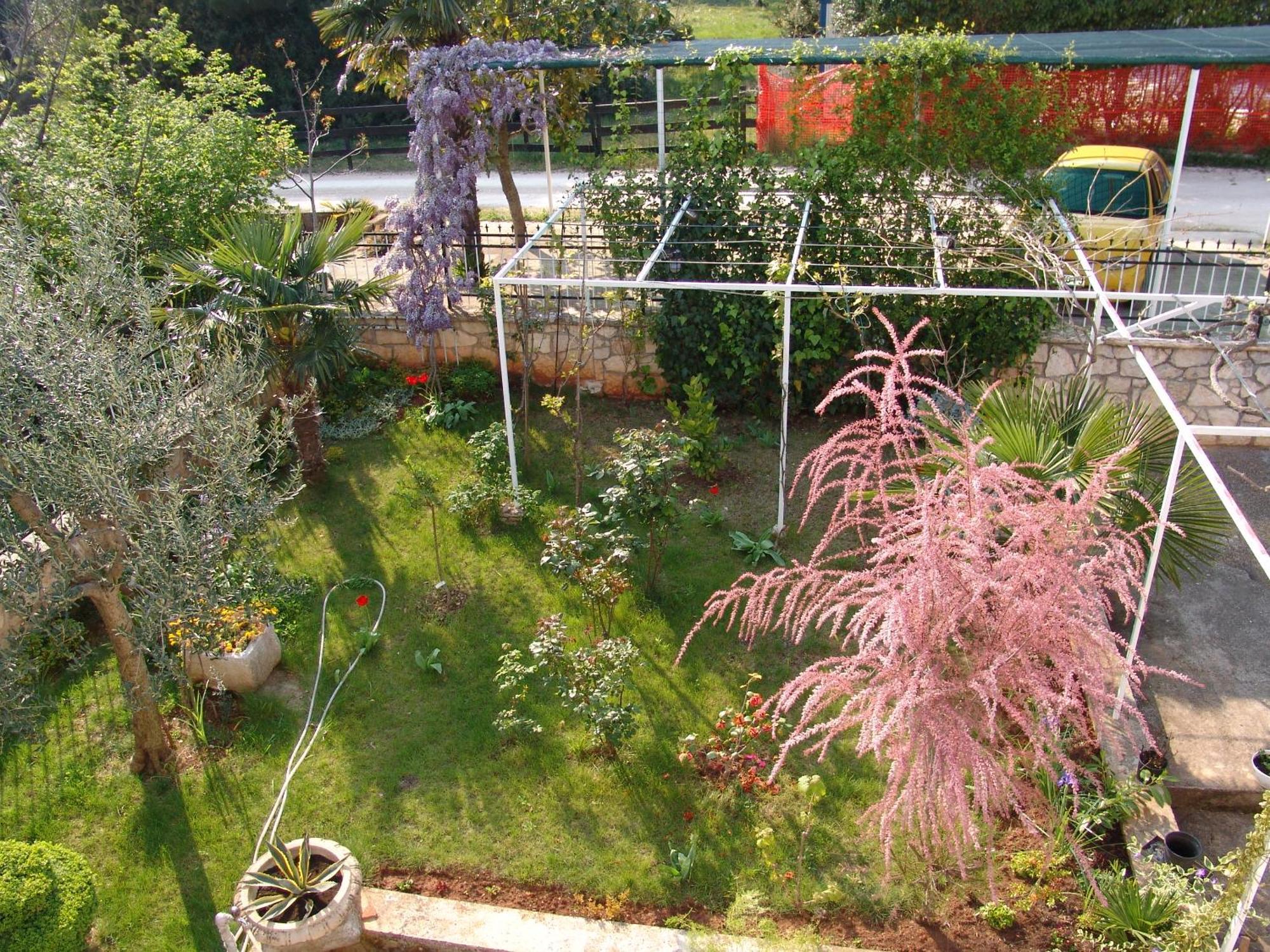 Villa Salvia Rooms And Apartments Rovinj Eksteriør billede