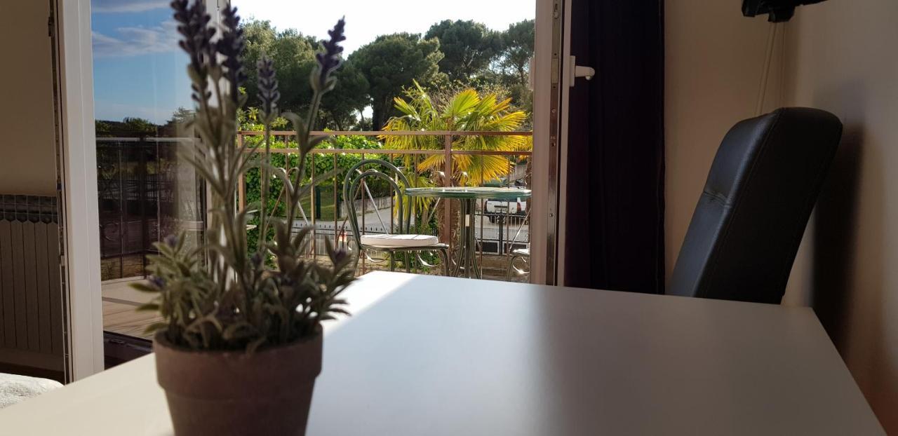 Villa Salvia Rooms And Apartments Rovinj Eksteriør billede